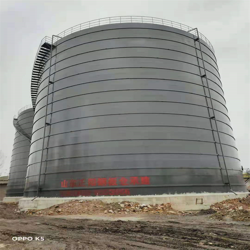 南山3万吨大型钢板库